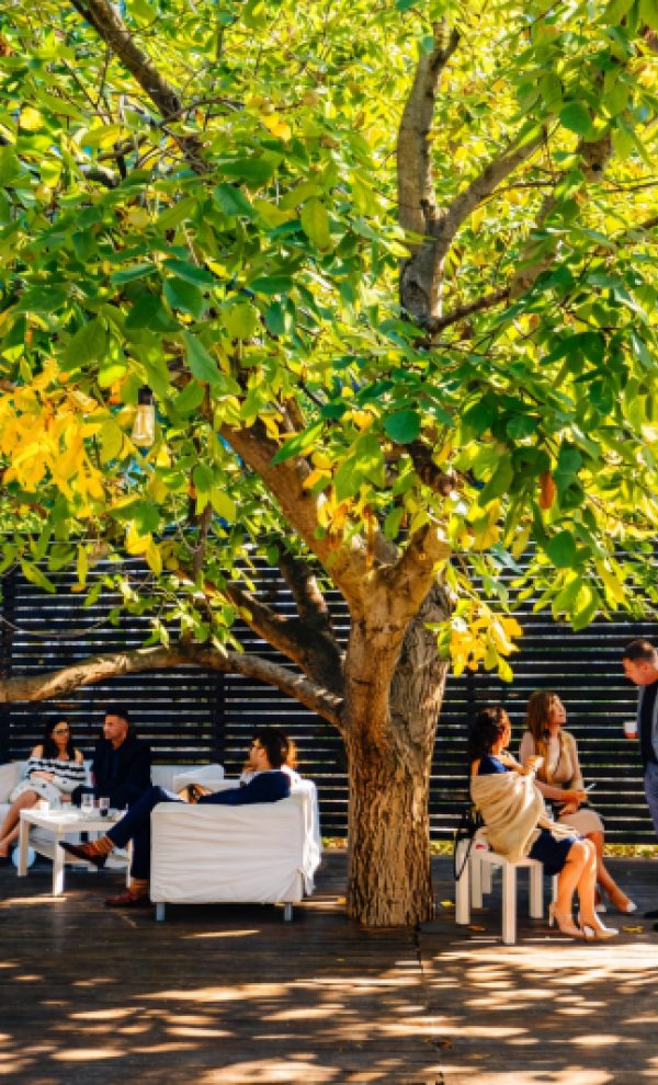 Locatiile de nunta - locatii de nunti in aer liber in natura - top locatii de nunta la padure-piscina